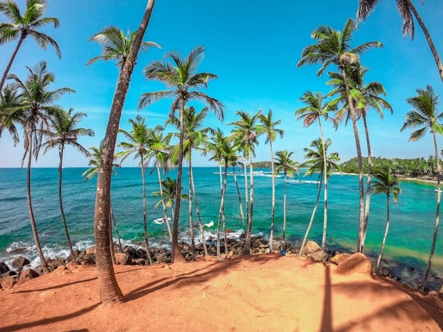 Coconut Tree Hill i Mirissa